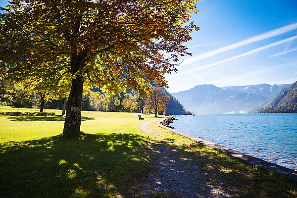 포토 JPG 해외이미지 나무 구름 계절 유럽 호수 여행 백그라운드 자연 하늘 휴가 풍경 사람없음 야외 물 여름 파란색 계곡 개화 오스트리아 숲 알프스 해외202004 해외포토 자연요소 식물 꽃 나라 컬러 생태계 파일형식 이미지허브