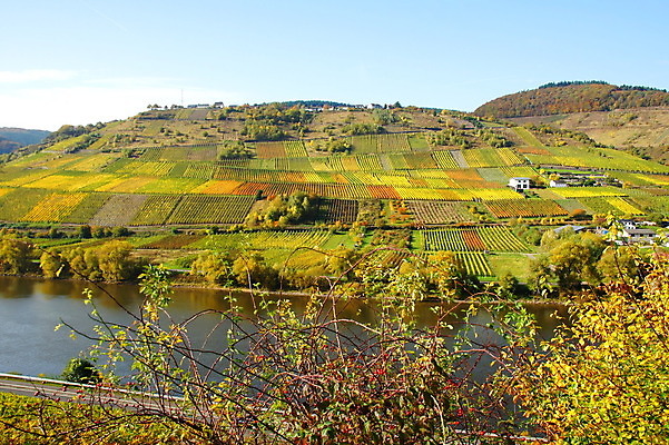 포토 JPG 해외이미지 사람없음 해외202004 해외포토 파일형식 이미지허브