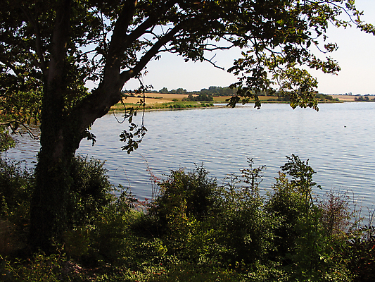 포토 JPG 해외이미지 나무 호수 여행 자연 하늘 휴가 덴마크 풍경 사람없음 야외 초록색 물 여름 반사 침묵 하이킹 시골 황무지 고독 숲 장면 지역 해외202004 해외포토 자연요소 식물 계절 감정 컬러 레저 북유럽 소리 생태계 파일형식 이미지허브