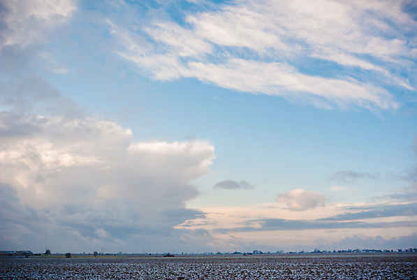 포토 JPG 해외이미지 나무 식물 구름 계절 공원 실루엣 여행 백그라운드 밭 오렌지 자연 하늘 휴가 따뜻함 그림자 풍경 사람없음 야외 빨간색 초록색 여름 파란색 빛 햇빛 태양 노란색 평화 일출 환경 침묵 황혼 일몰 새벽 황금 저녁 숲 장면 내추럴 수평선 해외202004 해외포토 자연요소 공공시설 컬러 컨셉 농업 과일 촬영기법 노을 소리 야간 생태계 파일형식 이미지허브