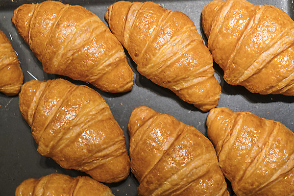 포토 JPG 해외이미지 아이콘 음식 백그라운드 디저트 사탕 사람없음 갈색 쌓기 상점 주방 빵집 고통 프랑스 껍질 신선 그룹 황금 달콤 아침식사 바게트 상품 밀 굽기 오브젝트 대륙 반죽 퍼프 솜털 프랑스어 미니 번 이스트 페스츄리 핸드메이드 많음 해외202004 해외포토 문자 감정 유럽 빵 컬러 컨셉 모션 곡류 식사 맛 구이 파일형식 이미지허브