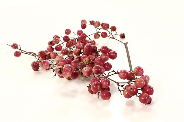 포토 JPG 해외이미지 분홍색 고추 사람없음 빨간색 양념 향신료 매움 날카로움 부드러움 후추 해외202004 해외포토 컬러 채소 감각 맛 향미료 파일형식 이미지허브