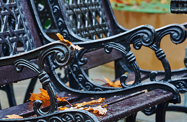 포토 JPG 해외이미지 나무 식물 공원 유럽 잎 벤치 자연 사람없음 물 금속 가을 도시 떨어짐 묘사 폴란드 해외202004 해외포토 자연요소 계절 공공시설 나라 컨셉 의자 재질 생태계 파일형식 이미지허브