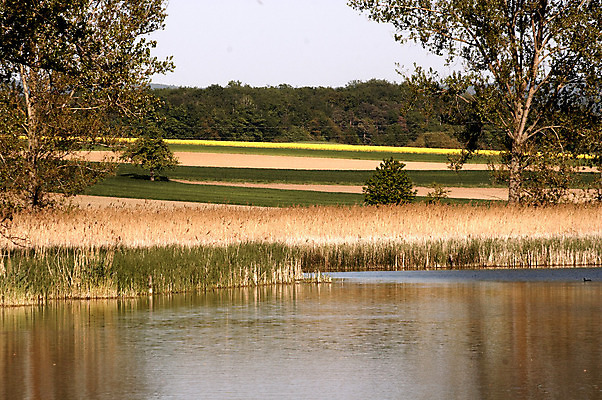 포토 JPG 해외이미지 나무 식물 구름 꽃 호수 여행 잎 자연 하늘 산 풍경 잔디 사람없음 야외 빨간색 초록색 물 파란색 태양 반사 환경 맑음 거울 나뭇가지 시골 연못 신선 만 분위기 숲 내추럴 깊이 대칭 해외202004 해외포토 자연요소 컬러 컨셉 날씨 생태계 파일형식 이미지허브