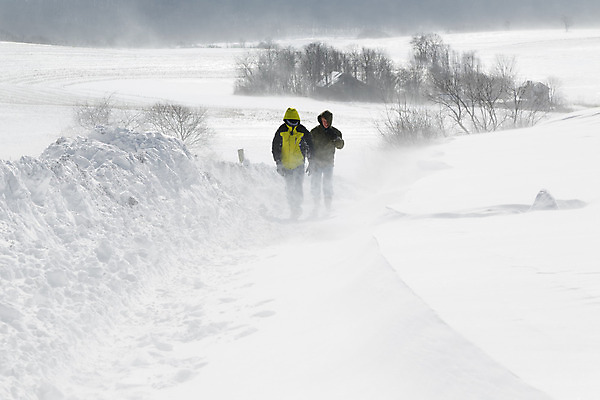 포토 JPG 해외이미지 계절 도로 이동 겨울 바람 날씨 소년 두명 걷기 냉동 미국 추위 흰색 시골 긴급 위험 시원함 불기 폭풍 눈보라 2월 폭풍우 해외202004 해외포토 자연요소 남자 길 어린이 컬러 컨셉 북아메리카 교통시설 모션 눈_날씨 사람 비_날씨 날짜 자연재해 파일형식 이미지허브