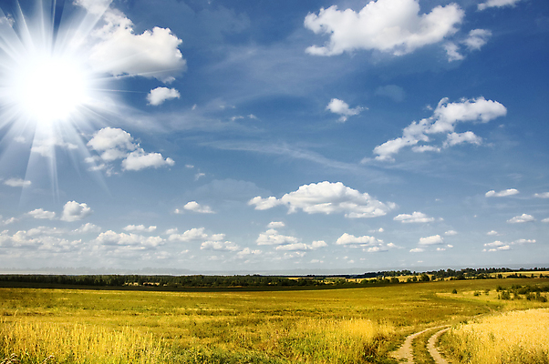 포토 JPG 해외이미지 식물 구름 전통 계절 문화 백그라운드 잎 밭 농업 채소 자연 하늘 감자 그림자 풍경 사람없음 야외 공중 초록색 여름 농작물 햇빛 태양 우주 침묵 일몰 줄무늬 활발 젖음 성장 시골 땅 원예 조경 장면 노젓기 솜털 선로 줄서기 세련 해외202004 해외포토 자연요소 산업 컬러 컨셉 무늬 모션 취미 노을 소리 생태계 파일형식 이미지허브