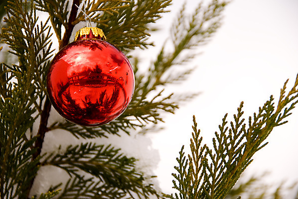 포토 JPG 해외이미지 나무 계절 크리스마스장식 크리스마스 겨울 공 휴가 기념 사람없음 장식 크리스마스트리 얼음 축제 추위 흰색 축하 인사 소나무 12월 전나무 노엘 해외202004 해외포토 자연요소 식물 기념일 컬러 컨셉 예절 날짜 파일형식 이미지허브