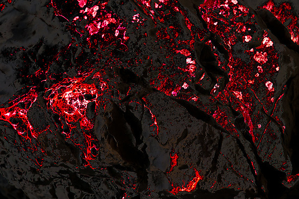 포토 JPG 해외이미지 나무 디자인 백그라운드 잎 패턴 밭 자연 벽지 추상 산 이끼 사람없음 햇빛 갈색 습기 젖음 촉촉함 안개 나뭇가지 소나무 숲 에코 질감 통나무 부드러움 암초 공상 효과 해외202004 해외포토 식물 컬러 무늬 농업 날씨 태양 환경 감각 생태계 파일형식 이미지허브