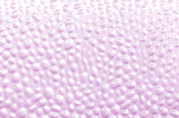 포토 JPG 해외이미지 접시 디자인 산업 선 백그라운드 패턴 벽지 표면 추상 새로움 사람없음 장식 빛 우주 금속 힘 센터 우아함 은색 매끈함 철 타일 질감 상업 무거움 시트 대각선 알루미늄 어려움 철강 티타늄 카피스페이스 강조 해외202004 해외포토 식기 컬러 컨셉 무늬 재질 공백 감각 원소 무게 파일형식 이미지허브