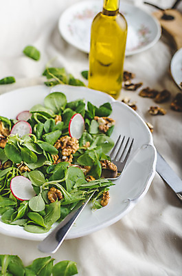 포토 JPG 해외이미지 식물 접시 음식 백그라운드 잎 다이어트 토마토 채소 재료 치즈 건강 옥수수 사람없음 초록색 식사 저녁식사 치킨 어둠 활발 샐러드 견과류 흰색 신선 그룹 상추 먹기 허브 유기농 호두 소금 양고기 점심식사 모짜렐라치즈 바이오 채식주의자 총각무 해외202004 해외포토 식기 웰빙 컬러 컨셉 모션 유제품 곡류 육류 무 채식 닭고기요리 파일형식 이미지허브