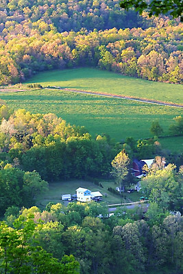 포토 JPG 해외이미지 나무 패턴 농업 자연 하늘 휴식 주택 안테나 풍경 사람없음 목재 초록색 여름 농작물 강 컬러풀 농장 농경지 노란색 우주 침묵 가을 흰색 시골 내추럴 삼림지대 섞기 해외202004 해외포토 식물 계절 산업 컬러 컨셉 무늬 재료 통신 건물 소리 숲 생태계 파일형식 이미지허브