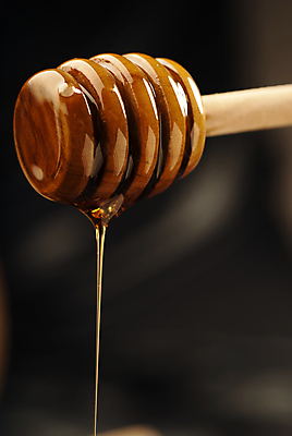 포토 JPG 해외이미지 백그라운드 근접촬영 사람없음 아웃포커스 흐름 달콤 꿀 허니디퍼 해외202004 해외포토 뷰포인트 컨셉 촬영기법 도구 맛 파일형식 이미지허브