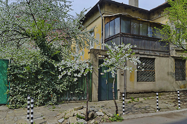 포토 JPG 해외이미지 나무 식물 계절 꽃잎 꽃 농업 과일 건축양식 주택 사람없음 야외 초록색 정원 봄 벚꽃 흰색 시골 개화 체리 파편 옛날 해외202004 해외포토 건축 산업 컬러 건물 파일형식 이미지허브