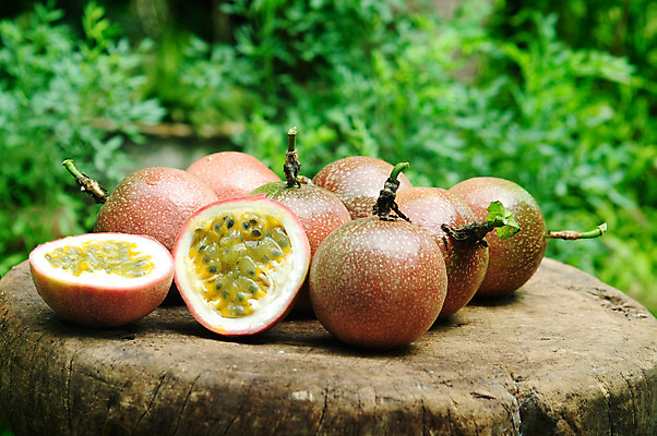 포토 JPG 해외이미지 음식 조각 백그라운드 다이어트 과일 자연 디저트 건강 씨앗 사람없음 목재 빨간색 초록색 노란색 주스 신선 달콤 맛 자르기 오브젝트 유기농 날것 열정 내추럴 숙성 해외202004 해외포토 나무 식물 웰빙 감정 음료 컬러 컨셉 재료 모션 생태계 파일형식 이미지허브