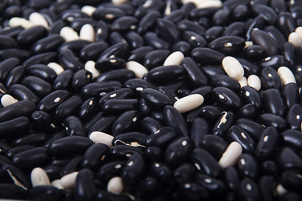 포토 JPG 해외이미지 식물 라이프스타일 음식 백그라운드 농업 다이어트 채소 자연 콩 건조 건강 씨앗 사람없음 컬러풀 건강관리 식사 저녁식사 시골 신선 먹기 유기농 건강식 채식주의자 해외202004 비건음식 해외포토 웰빙 산업 컬러 모션 곡류 관리 생활 생태계 채식 파일형식 비건 이미지허브