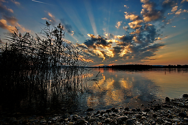 포토 JPG 해외이미지 나무 구름 호수 여행 백그라운드 오렌지 자연 하늘 아침 휴가 휴식 산 독일 풍경 사람없음 야외 빨간색 물 여름 파란색 빛 햇빛 반사 평화 일출 환경 일몰 새벽 바위 숲 즐거움 해외202004 해외포토 주간 자연요소 식물 계절 감정 유럽 컬러 컨셉 과일 태양 노을 돌_바위 생태계 파일형식 이미지허브