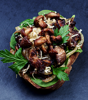 포토 JPG 해외이미지 빵 채소 양파 치즈 파슬리 샌드위치 마늘 사람없음 초록색 갈색 검은색 버섯 튀김 시골 신선 그릴 작음 굽기 허브 상쾌 슬라이스 브런치 건강식 브루스케타 채식주의자 타파스 핸드메이드 개조 해외202004 해외포토 식물 감정 음식 컬러 주방용품 유제품 식사 애피타이저 크기 구이 채식 파일형식 이미지허브