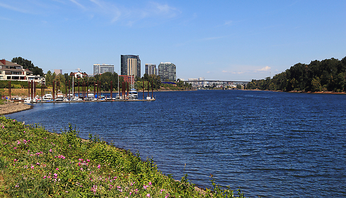 포토 JPG 해외이미지 나무 구름 여행 요트 하늘 휴가 파노라마 풍경 사람없음 야외 건물 물 파란색 강 도시풍경 평화 탑 맑음 고층빌딩 미국 도시 보트 도심 스카이라인 해외202004 해외포토 자연요소 식물 건축물 컬러 컨셉 북아메리카 배_교통 날씨 촬영기법 빌딩 파일형식 이미지허브