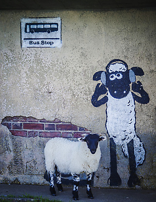 포토 JPG 해외이미지 나무 식물 구름 공원 유럽 자연 하늘 영국 잉글랜드 풍경 사람없음 파란색 농장 양 요크셔테리어 북쪽 전국 해외202004 해외포토 자연요소 공공시설 나라 컬러 농업 포유류 테리어 방향 생태계 파일형식 이미지허브