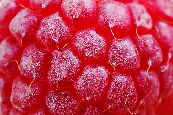 포토 JPG 해외이미지 식물 계절 열매 길 음식 분홍색 백그라운드 패턴 농업 채소 과일 재료 자연 디저트 건강 관리 사람없음 빨간색 봄 활발 흰색 신선 그룹 달콤 자르기 먹기 오브젝트 싱글 상쾌 유기농 질감 날것 산딸기 슛 멀리 고립 숙성 채식주의자 비건 해외202004 해외포토 웰빙 감정 산업 컬러 컨셉 무늬 모션 맛 생태계 채식 파일형식 이미지허브