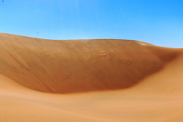 포토 JPG 해외이미지 모래 여행 곡선 오렌지 아프리카 자연 건조 파노라마 풍경 사람없음 야외 관광지 모래사장 환경 사막 탐험 뜨거움 황무지 고독 모래언덕 언덕 산등성이 가뭄 멀리 발견 나미비아 명승지 무한 웅장함 전국 해외202004 해외포토 감정 나라 선 바다 과일 날씨 산 촬영기법 생태계 남아프리카 파일형식 이미지허브