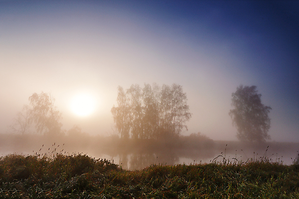 포토 JPG 해외이미지 나무 계절 공원 호수 여행 백그라운드 자연 하늘 아침 풍경 사람없음 야외 목재 물 파란색 강 컬러풀 햇빛 태양 반사 노란색 일출 환경 침묵 새벽 안개 가을 시골 숲 자작나무 10월 내추럴 벨로루시 해외202004 해외포토 주간 자연요소 식물 공공시설 컬러 재료 날씨 노을 소리 날짜 생태계 파일형식 이미지허브