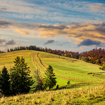 포토 JPG 해외이미지 나무 식물 계절 공원 여행 백그라운드 잎 자연 하늘 산 풍경 사람없음 야외 목재 빛 컬러풀 노란색 환경 가을 시골 숲 땅 내추럴 웅장함 해외202004 해외포토 공공시설 컬러 재료 생태계 파일형식 이미지허브