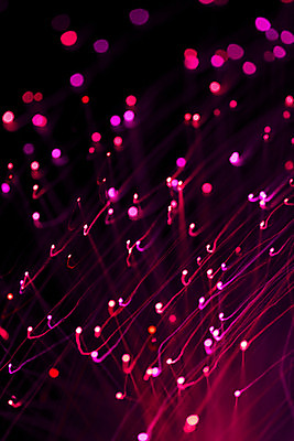 포토 JPG 해외이미지 백그라운드 사람없음 어둠 빛망울 트렌드컬러 해외202004 비바마젠타 해외포토 컬러 빛 파일형식 이미지허브