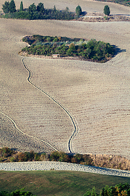 포토 JPG 해외이미지 나무 유럽 도로 밭 농업 자연 풍경 사람없음 여름 농가 평화 환경 고요 이탈리아 달력 성장 가을 시골 만취 언덕 그림 올리브 포도밭 땅바닥 시에나 토스카나 수평선 해외202004 해외포토 식물 계절 열매 나라 산업 길 컨셉 교통시설 바닥 농장 생태계 술취함 파일형식 이미지허브
