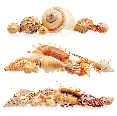 포토 JPG 해외이미지 디자인 별 모래 파도 바다 백그라운드 컨셉 패턴 곡선 자연 휴가 조개 미술 사람없음 야외 컬러풀 환경 껍질 선택 수집 배열 묘사 질감 모음 내추럴 고립 생태학 이국적 파라다이스 많음 해외202004 해외포토 자연요소 교육 선 컬러 무늬 문화예술 어패류 한글 생태계 파일형식 이미지허브