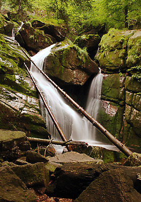 포토 JPG 해외이미지 나무 계절 공원 여행 잎 모션 자연 하늘 산 풍경 사람없음 야외 초록색 물 여름 빛 강 햇빛 평화 환경 봄 폭포 젖음 흐름 바위 신선 개울 떨어짐 숲 장면 내추럴 슬로바키아 파라다이스 해외202004 해외포토 자연요소 식물 공공시설 유럽 컬러 컨셉 태양 돌_바위 생태계 파일형식 이미지허브