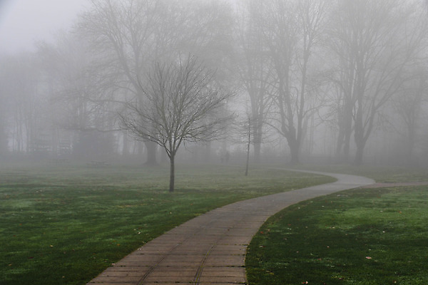 포토 JPG 해외이미지 나무 공원 길 겨울 하늘 아침 사람없음 빛 햇빛 걷기 하이킹 안개 광선 신비 워싱턴 해외202004 해외포토 주간 식물 계절 공공시설 컨셉 모션 레저 날씨 태양 미국 파일형식 이미지허브