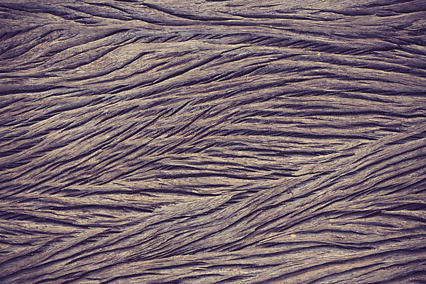 포토 JPG 해외이미지 나무 디자인 외관 벽 백그라운드 패턴 부분 자연 표면 바닥 프레임 건조 미술 사람없음 야외 내부 목재 가로 빛 갈색 어둠 공백 골동품 소나무 판넬 널 매끈함 사인 질감 복고 호두 내추럴 수목 엘리먼트 옛날 합판 파케트 해외202004 해외포토 식물 컬러 무늬 재료 문화예술 견과류 감각 생태계 파일형식 이미지허브