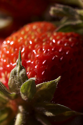 포토 JPG 해외이미지 접시 음식 과일 딸기 건강 사람없음 빨간색 빛 정원 식사 신선 맛 아침식사 원예 점심식사 해외202004 해외포토 식기 컬러 컨셉 취미 파일형식 이미지허브