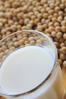 포토 JPG 해외이미지 음식 백그라운드 채소 콩 건강 동양인 사람없음 일본 흰색 시골 유기농 내추럴 고립 대두 채식주의자 해외202004 해외포토 웰빙 아시아 컬러 곡류 인종 채식 파일형식 이미지허브