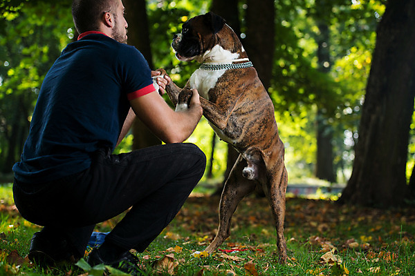 포토 JPG 해외이미지 동물 백인 한마리 라이프스타일 응시 남자 행복 포옹 청소년 휴식 함께함 사랑 한명 미소 사람 앉기 20대 성인 야외 가로 초록색 반려동물 가축 우정 가을 잡기 개 보호 숲 해외202004 해외포토 서양인 1 시선 계절 감정 컬러 컨셉 포유류 안기 모션 표정 청년 생활 친구 파일형식 이미지허브