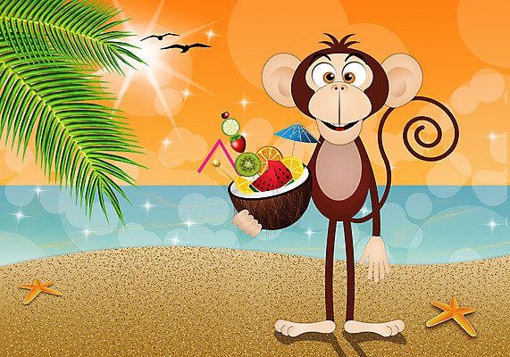 포토 JPG 해외이미지 동물 라이프스타일 음료 야생동물 바다 여행 과일 일러스트 휴가 들기 해변 사람없음 야외 장식 여름 일몰 원숭이 칵테일 야자수잎 원숭이캐릭터 해외202004 해외포토 계절 동물캐릭터 잎 포유류 모션 주류 생활 노을 파일형식 이미지허브