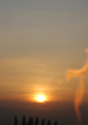 포토 JPG 해외이미지 나무 컨셉 하늘 불 날씨 추상 따뜻함 요리 사람없음 황혼 뜨거움 야간 바비큐 해외202004 해외포토 자연요소 식물 음식 무늬 일몰 파일형식 이미지허브