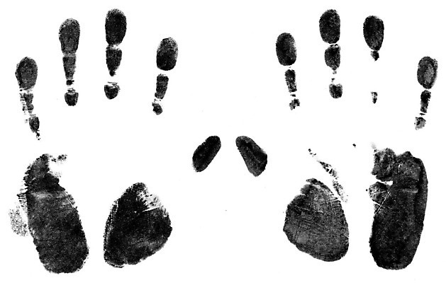 포토 JPG 해외이미지 손 백그라운드 손가락 추상 잉크 관리 손바닥 사람없음 검은색 페인트 터치 흰색 인쇄 증거 층 그런지 스크랩북 엘리먼트 해외202004 해외포토 컬러 무늬 신체부위 파일형식 이미지허브