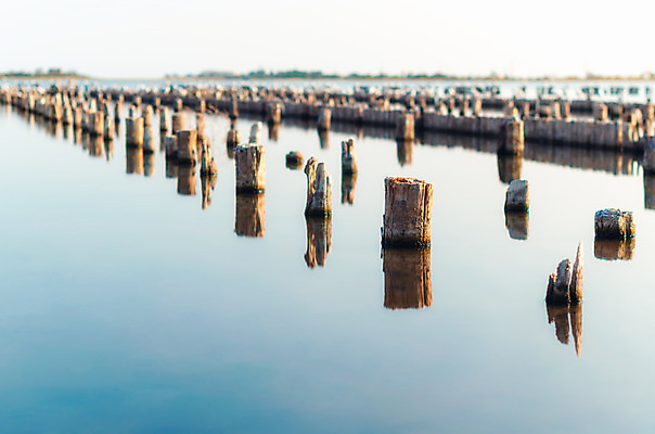 포토 JPG 해외이미지 계절 바다 백그라운드 자연 표면 사람없음 목재 물 여름 반사 환경 가을 뜨거움 삼 매끈함 장노출 내추럴 미니멀리스트 해외202004 해외포토 자연요소 나무 채소 재료 촬영기법 감각 생태계 파일형식 이미지허브