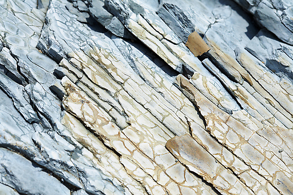 포토 JPG 해외이미지 디자인 선 패턴 자연 표면 추상 사람없음 장식 거친 질감 웨이브 석판 옛날 울퉁불퉁 지질학 해외202004 해외포토 교육 무늬 생태계 파일형식 이미지허브