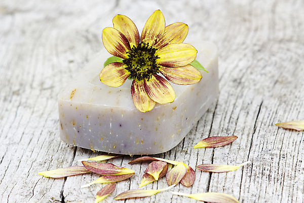 포토 JPG 해외이미지 식물 꽃잎 꽃 백그라운드 꽃무늬 해바라기 건강 사람없음 목재 위생용품 스파 침묵 목욕 화장품 신선 고급 허브 순수 유기농 향기 비누 아로마테라피 내추럴 위생관리 핸드메이드 카피스페이스 해외202004 해외포토 나무 웰빙 생활용품 컨셉 무늬 재료 관리 뷰티 소리 청결 공백 냄새 테라피 파일형식 이미지허브