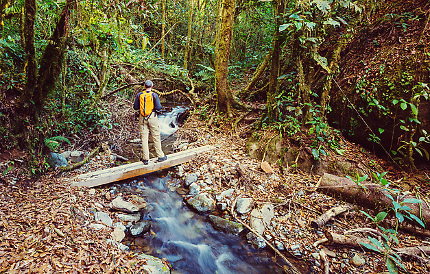 포토 JPG 해외이미지 나무 식물 공원 길 여행 자국 자연 산 매달리기 한명 풍경 야외 초록색 여름 여행객 환경 미국 트래킹 폭포 하이킹 관찰 숲 오솔길 열대우림 지역 내추럴 방법 백패커 산악가 전국 코스타리카 하이커 혼자 해외202004 해외포토 1 계절 공공시설 컬러 북아메리카 모션 레저 사람 중앙아메리카 생태계 파일형식 이미지허브