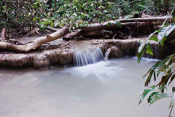 포토 JPG 해외이미지 나무 식물 공원 잎 모션 태국 자연 휴가 휴식 풍경 사람없음 목재 초록색 물 강 놀람 봄 폭포 흐름 가을 신선 개울 숲 시원함 당구 순수 즐거움 에메랄드 천국 내추럴 삼림지대 파라다이스 현재 해외202004 해외포토 자연요소 계절 공공시설 감정 아시아 컬러 컨셉 재료 표정 구기 보석 생태계 파일형식 이미지허브
