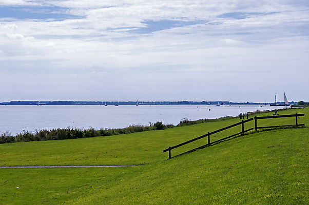 포토 JPG 해외이미지 나무 구름 호수 자연 하늘 풍경 사람없음 초록색 물 파란색 흰색 보트 네덜란드 해외202004 해외포토 자연요소 식물 유럽 컬러 배_교통 생태계 파일형식 이미지허브