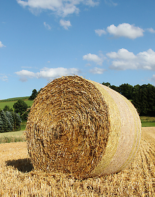 포토 JPG 해외이미지 주간 구름 농업 하늘 풍경 사람없음 야외 농경지 짚더미 뭉치 해외202004 해외포토 자연요소 산업 농장 볏짚 파일형식 더미 이미지허브