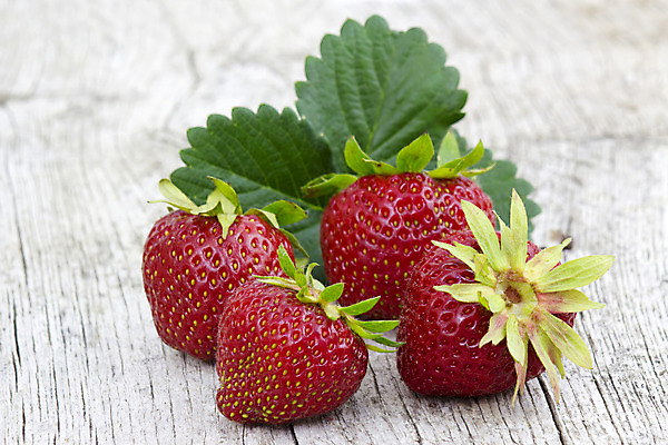 포토 JPG 해외이미지 열매 음식 백그라운드 잎 다이어트 과일 딸기 디저트 건강 사람없음 목재 가로 빨간색 초록색 컬러풀 정원 흰색 신선 닫기 달콤 맛 상쾌 유기농 내추럴 고립 숙성 카피스페이스 해외202004 해외포토 나무 식물 웰빙 감정 컬러 컨셉 재료 모션 공백 파일형식 이미지허브