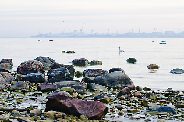 포토 JPG 해외이미지 구름 계절 파도 바다 여행 오렌지 자연 하늘 아침 날씨 풍경 사람없음 빨간색 물 여름 파란색 빛 컬러풀 태양 반사 평화 일출 맑음 침묵 황혼 일몰 봄 새벽 광선 조약돌 바위 만 떨어짐 저녁 장면 폭풍 수평선 해외202004 해외포토 주간 자연요소 컬러 컨셉 과일 노을 소리 돌_바위 야간 생태계 파일형식 이미지허브