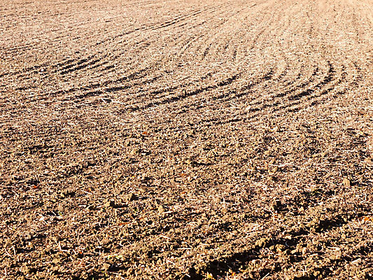 포토 JPG 해외이미지 식물 영어 계절 지구 백그라운드 패턴 밭 농업 자연 잉글랜드 풍경 사람없음 야외 농작물 농장 농경지 갈색 환경 경작 흙 수확 가을 시골 땅 만취 유기농 질감 먼지 장면 진흙 내추럴 땅바닥 밭일 벌거벗은 쟁기 줄서기 수평선 세련 해외202004 해외포토 문자 웰빙 산업 컬러 무늬 모션 영국 바닥 농사 생태계 술취함 파일형식 이미지허브
