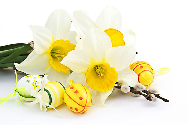 포토 JPG 해외이미지 전통 계절 꽃 행복 종교 꽃다발 백그라운드 꽃무늬 자연 휴가 부활절 선물 사람없음 장식 초록색 컬러풀 노란색 정원 계란 축제 고양이 놀람 봄 흰색 나뭇가지 축하 신용카드 그리기 황금 달콤 4월 버드나무 심볼 수선화 내추럴 고립 해외202004 해외포토 나무 식물 기념일 감정 컬러 컨셉 무늬 포유류 모션 표정 금융 반려동물 알 날짜 맛 생태계 파일형식 이미지허브